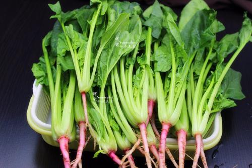 关于菠菜的食用我们杭州按摩网为您详细解答